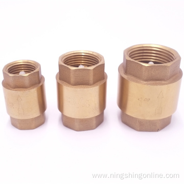 Brass vertical check valve